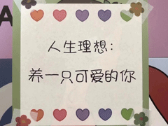 高情商的人怎么发朋友圈 朋友圈幽默高情商的文案