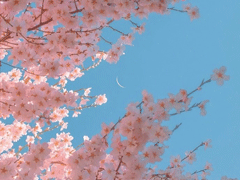 2021很走心的干净短句 朋友圈高质量吸引人的短句