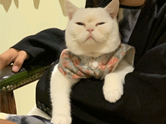 情侣公布恋情的高端的文案 有趣的朋友圈秀恩爱文案