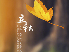 立秋励志的句子正能量爆棚 希望熬过一切星光璀璨