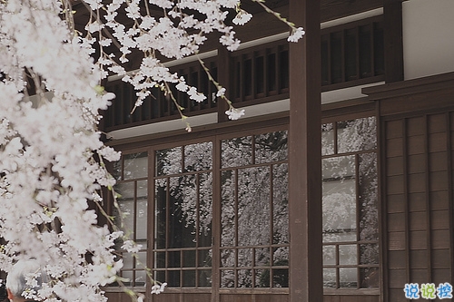 人生很现实经典励志图片说说 人的一生难免有起伏9