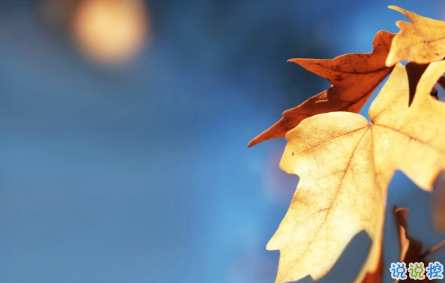 几米经典语录关于爱情说说带图片:当我想你的时候,你会不会也刚好正在想我16