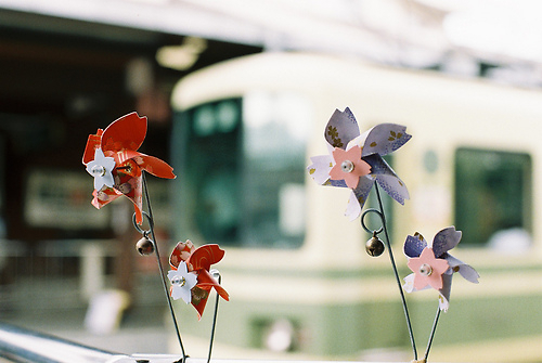 超唯美文艺的说说带图片 你看没看见我都盛开风来不来芬芳都在9