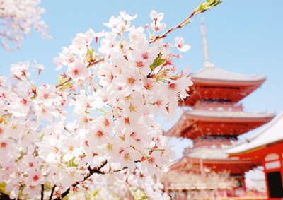 文字控带图说说4