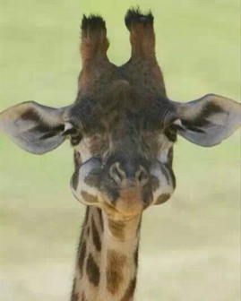 微信说说带图片:这个世界,看你二的人很多,陪你二的人很少10