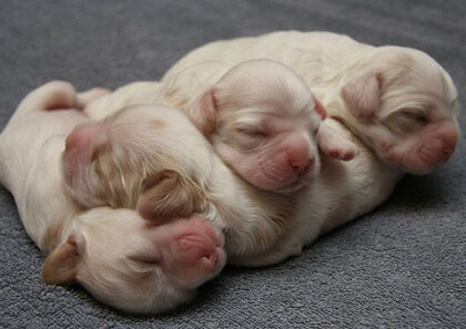 笑死人的说说加图片：老师说我是搅屎棍，那么我同学是什么？14