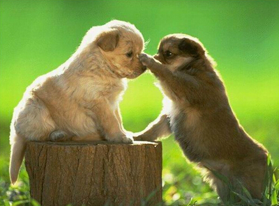 配图片的朋友说说:什么是好朋友?有人说,那是地球上翻版的自己6