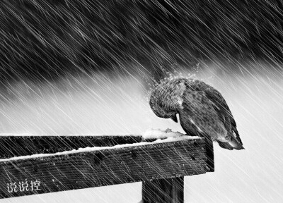 坚强的说说带图片5 坚强的说说带图片5