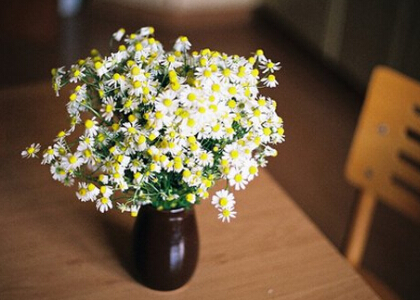 诗意说说带图片5 诗意说说带图片5