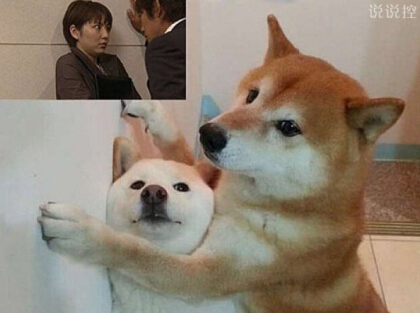 带图搞笑说说3 带图搞笑说说3