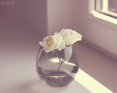 QQ唯美说说带图片1 QQ唯美说说带图片1