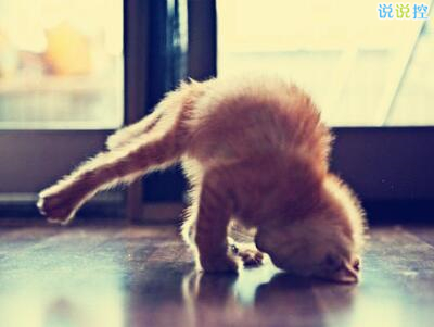 哲理英文说说带图片,哲理英文句子带翻译1 哲理英文说说带图片,哲理英文句子带翻译1