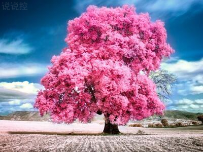 伤感唯美图片说说,唯美伤感说说配图6 伤感唯美图片说说,唯美伤感说说配图6