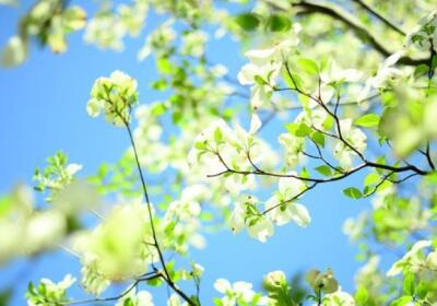 有意境说说带图片，意境说说配图片3