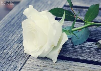 有意境说说带图片，意境说说配图片6