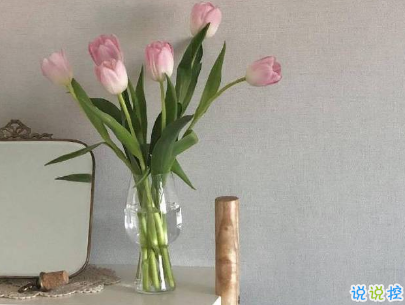 2019五月份表白的甜句子配图 深情而温暖的表白情话7