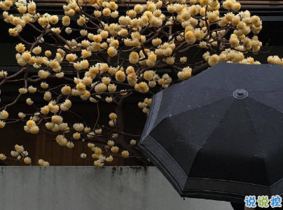 2019五月份表白的甜句子配图 深情而温暖的表白情话14