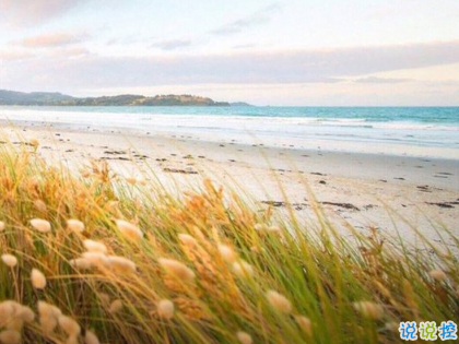 简单文艺爱情小短句2019 我不喜欢这世界我只喜欢你2