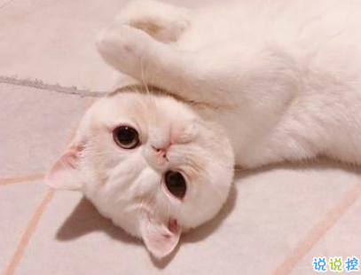 非常有意思搞笑的微信说说 专治不开心的句子1