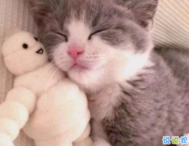 非常有意思搞笑的微信说说 专治不开心的句子2