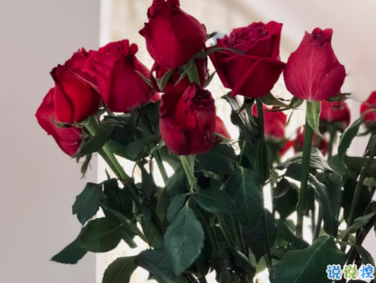 成功率百分百的表白情话 30句高级情话句子大全2