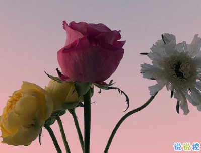 最搞笑的早安心语大全 微信早安搞笑短句精选2