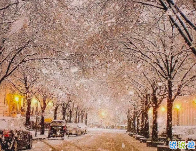 初雪表白文案打动人 适合告白的高级情话句子2