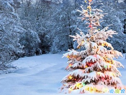 冬天下雪天文案唯美带图片 抖音最火下雪天说说4