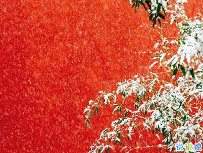 冬天下雪天文案唯美带图片 抖音最火下雪天说说2