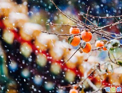 冬天下雪天文案唯美带图片 抖音最火下雪天说说5