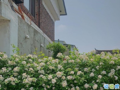 晒风景照的唯美说说配图 适合发风景的朋友圈文案4