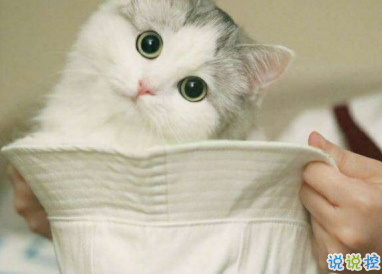 微博沙雕文案搞笑句子 经典至极的搞笑说说很有趣1