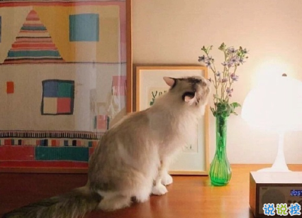 简短精辟的句子简单气质 没有人要有义务对你好15