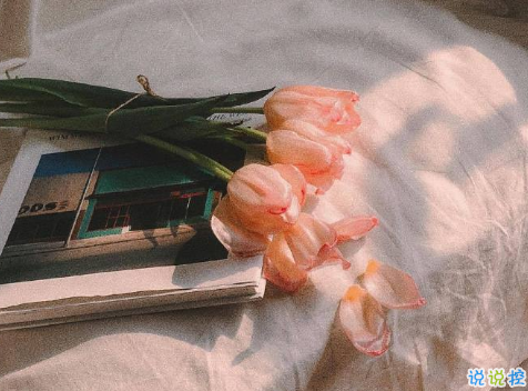 立秋早安说说带图片一句话短句 今日立秋祝你快乐1