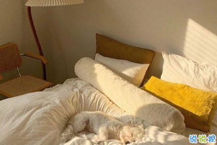 立秋早安说说带图片一句话短句 今日立秋祝你快乐10