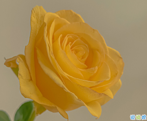 你是我的全部说说爱情 互相奔赴的爱情才会长久2