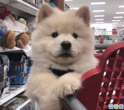 发一条有有趣的朋友圈说说 夏天那么热暗恋会变成热恋吗15