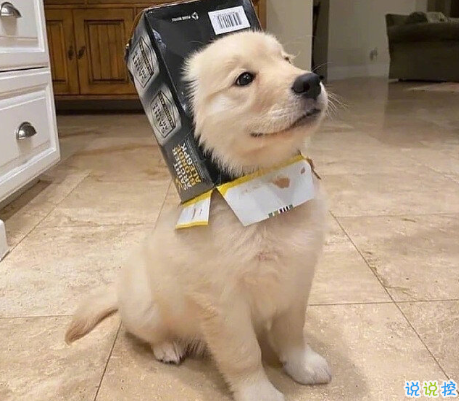 发一条有有趣的朋友圈说说 夏天那么热暗恋会变成热恋吗13