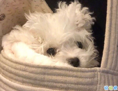 发一条有有趣的朋友圈说说 夏天那么热暗恋会变成热恋吗11