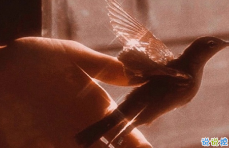 保持清醒和理性的说说 所有不合适的人最终总会分散3