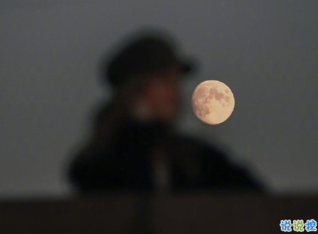 七夕情人节超甜暖心的句子 我喜欢的样子你都有2