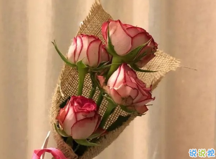 七夕微信示爱表白密码 情人节微信翻译的表白情话1