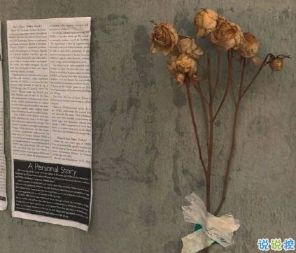 句句入心的唯美句子带图片 若答非所问便已是答了8