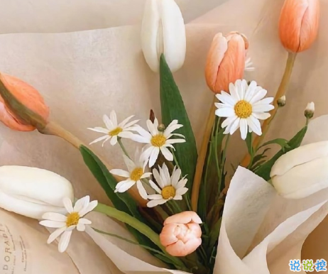 朋友圈扎心的说说触动内心 年龄总是如期而来惆怅总是不速之客2