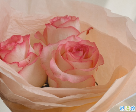 2020迎接九月正能量说说励志 新的九月新的开始说说1