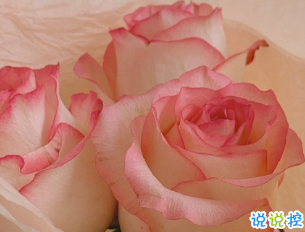 最新温柔唯美好听的个性文案 生活有惊喜事事有回应9