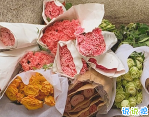 最新温柔唯美好听的个性文案 生活有惊喜事事有回应14