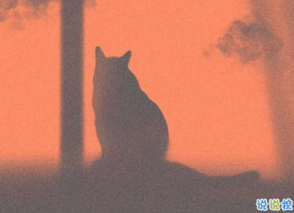 赋有诗意的文艺30条句子  坠欢莫拾酒痕在衣2