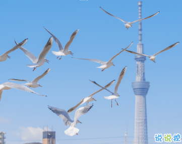 官宣分手时可以发的文案 远距离关心各自变老1