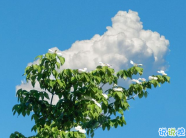 一些特别戳心窝的句子 想陪你看月落重生灯再红9